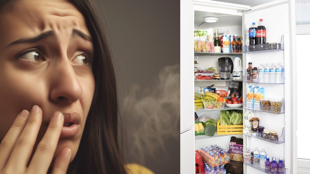 Ett illaluktande kylskåp kan förstöra aptiten.